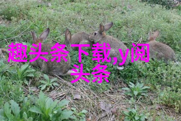妈阁是座城预告来了白百何在赌城与黄觉吴刚共舞笑料十足