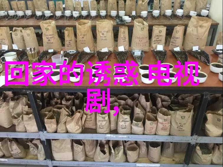 家庭交换的秘密探索我和岳交换夫妇爽完整版电影背后的文化象征意义