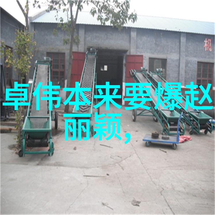 快速新闻体验今日头条极速版的下载与使用指南