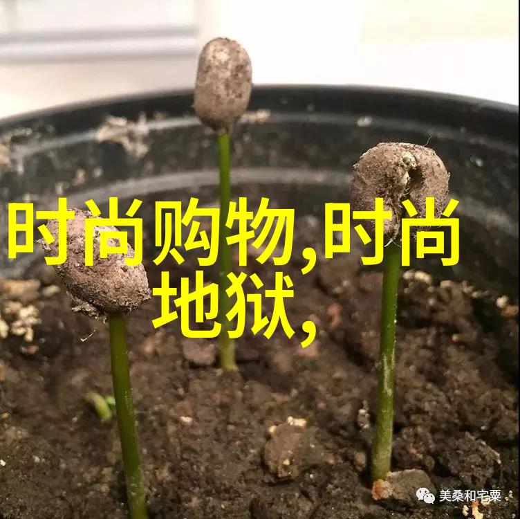 有没有什么秘密武器能让任何一档综艺节目变得不可错过