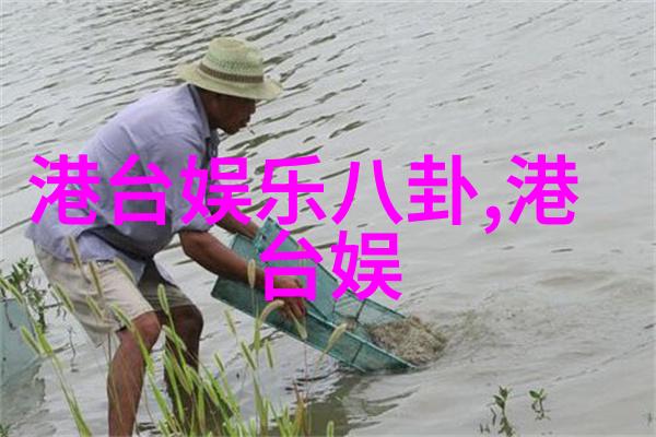 寻找失落的乐土解密影视森林背后的文化象征意义