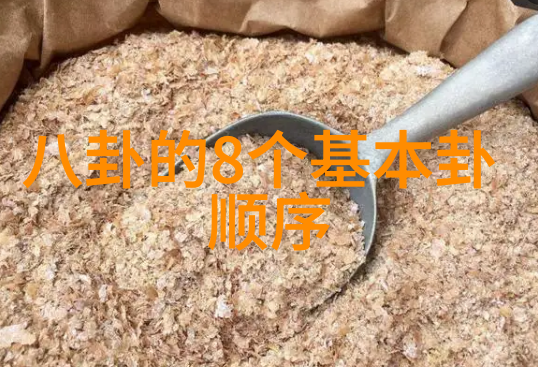 人工智能在医疗领域的应用为患者带来什么样的希望与挑战