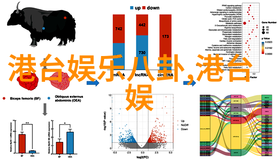 绽放的色彩美丽瞬间的艺术集锦