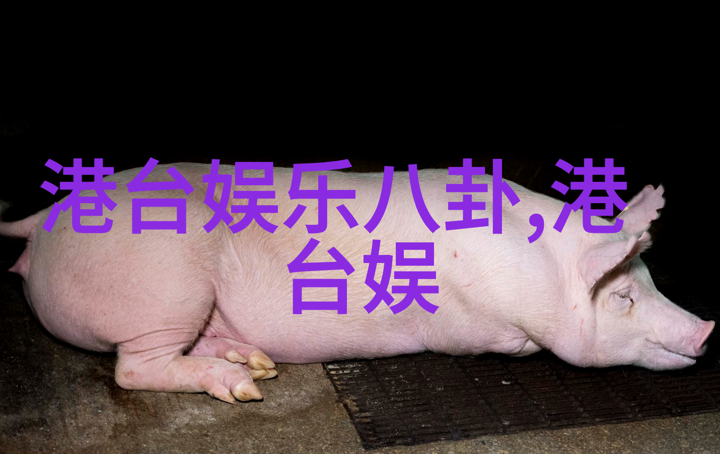 最强大脑LEVEL-K冲击登场王珞丹易小星化身竞拍官在遇见你真好综艺中他们以物品为媒展现了全新的魅力