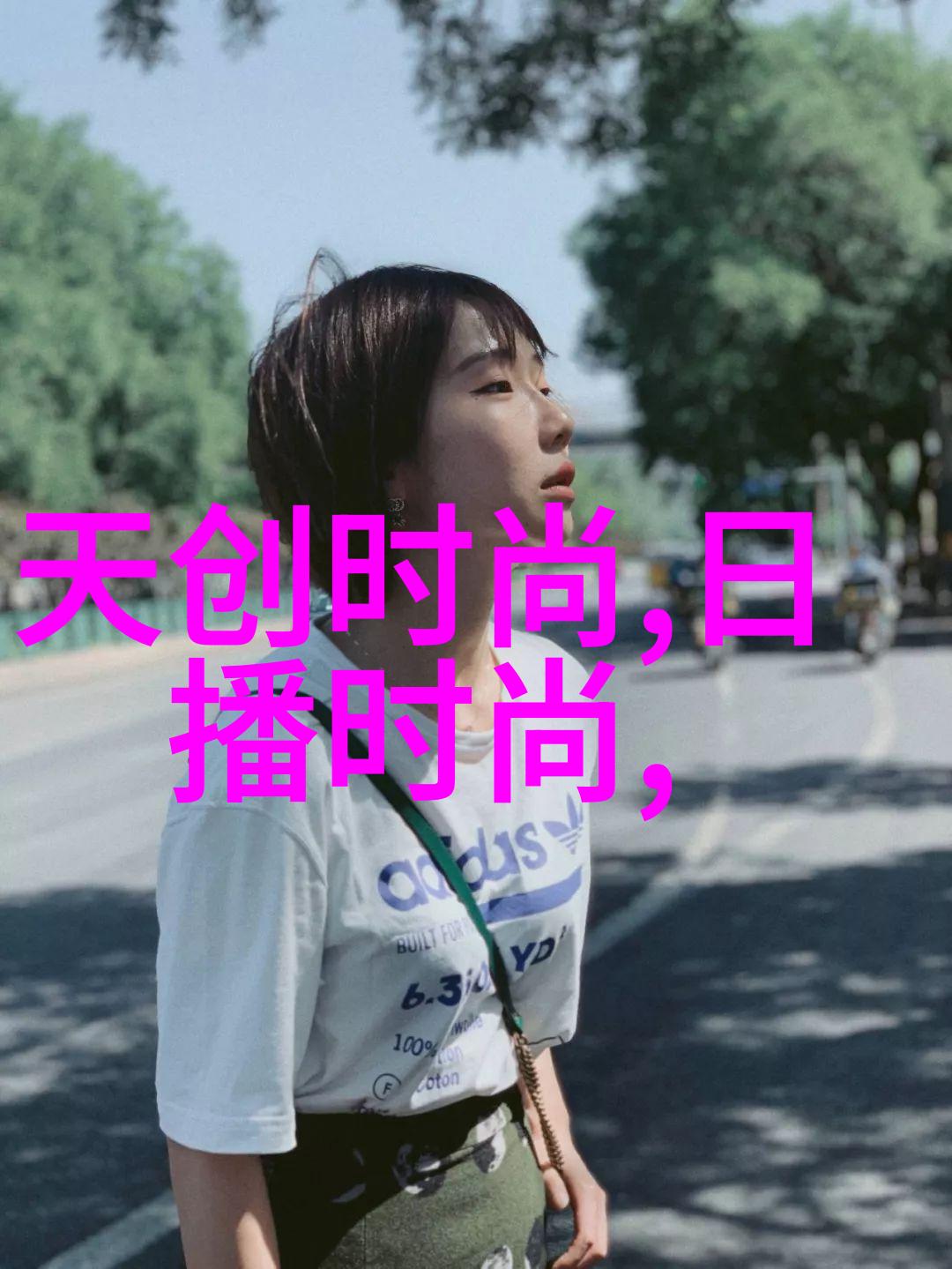 台湾的未来梦想与现实的交响曲