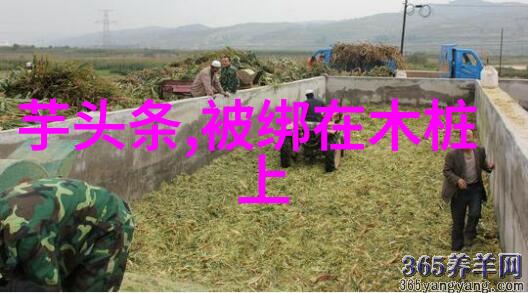 高以翔在哪个综艺没的清宿便如同春雨润草清除肠子和排便的方法如同一位精通医术的大夫用他的妙手让身体的机