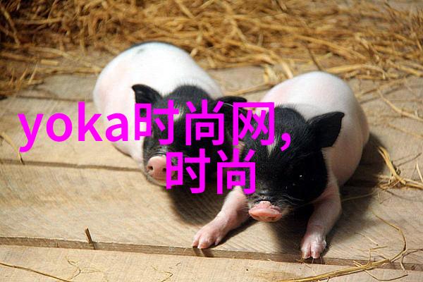 星辰之网中国最准的免费八字算命探秘