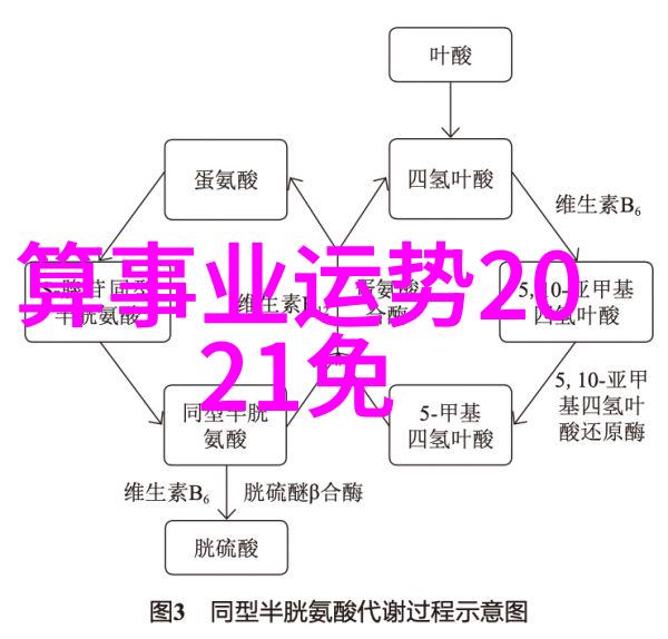 视觉奇缘相似图像的秘密语言