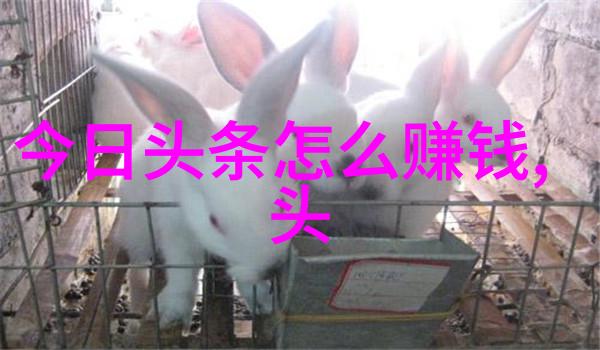 蓝色综艺盛宴一往无前的精彩免费追看