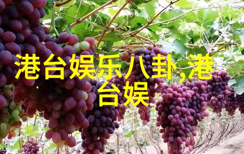 星空影院免费观看电影胡歌带来不虚此行以悼词作家闻善之名走上大银幕仿若天使般降临为观众带去感动的力量