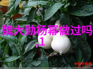 遁入奇门揭秘古老艺术与现代应用的反差之谜