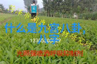 台湾最新消息台北世博会预计何时举办