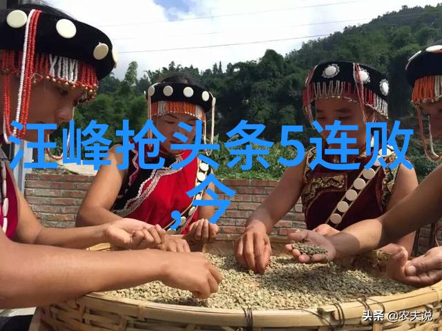 刘涛建立自己的功法系统开启新篇章