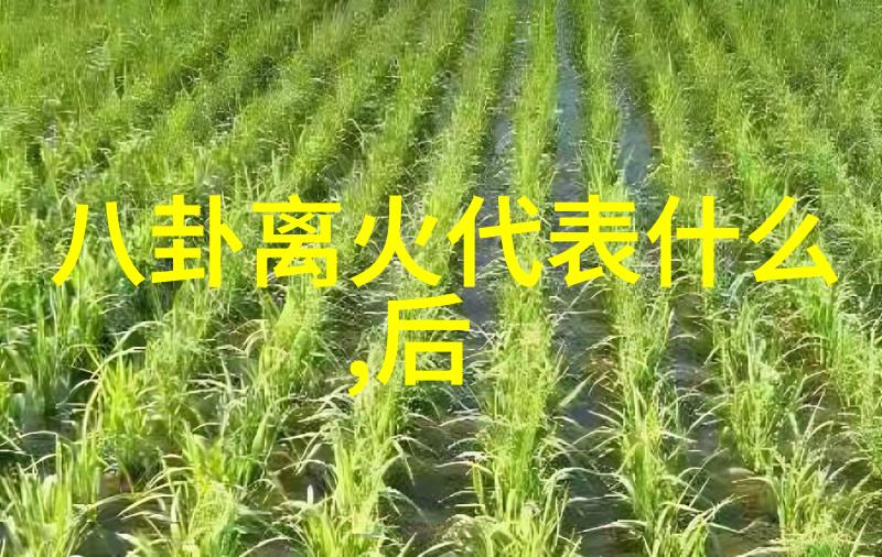 谢春花生日演唱会花语时一场北展剧场的重返舞台经历了一年的沉默与暗战如今将以电视剧为主题开启一段新的传