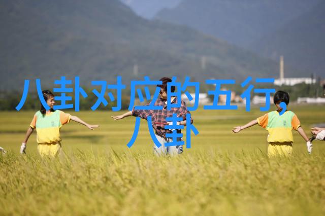 刘若英我很好演唱会特别版免费下载手机歌曲成珍贵收藏