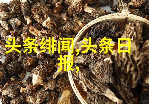 电影娱乐八卦揭秘影后私生活的真相