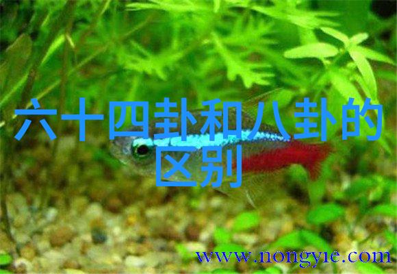 今天这部电影很第八个嫌疑人就像物品中的一个隐藏的线索