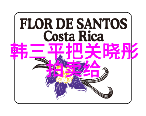 蜘蛛侠生日庆祝周活动落幕粉丝期待2021年新作的到来电影天堂中的人物们也在热烈讨论新一部蜘蛛侠电影的