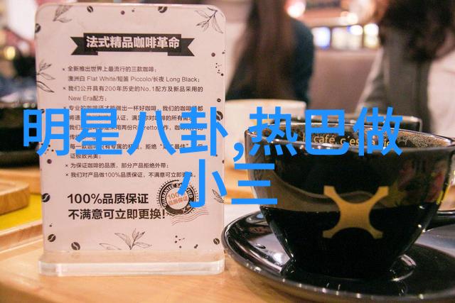 tobu8美国14vdo - tobu8探秘美国的14个不可思议视频艺术展