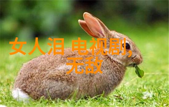 最美的时光综艺明日在自然之中闪耀白举纲黄龄许佳琪甘望星惊喜加盟共同见证精彩瞬间