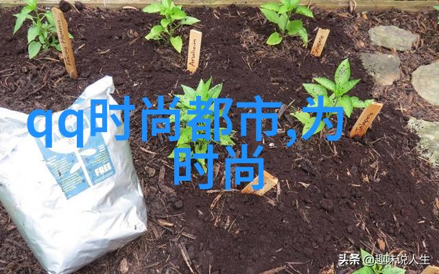 两个人一前一后有力的我和兄弟姐妹一前一后守护家庭的故事