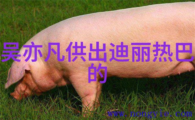 在伦理的边界上韩国电影探索人性之谜