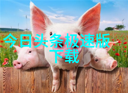 绘梦录色彩之间的交响乐