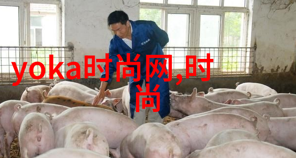 快速烹饪技巧如何利用多功能电炉提升厨房效率