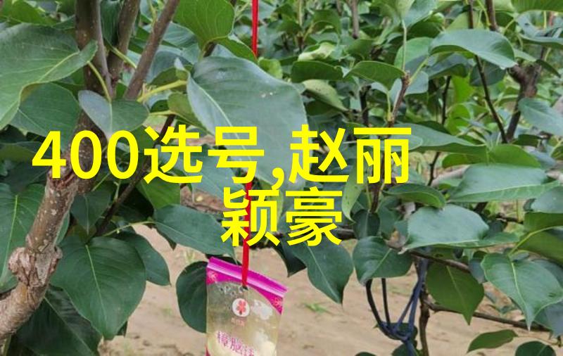 张萌姐的身材是拿命换的国家敢动娱乐圈吗物品场景中的她令人瞩目的存在