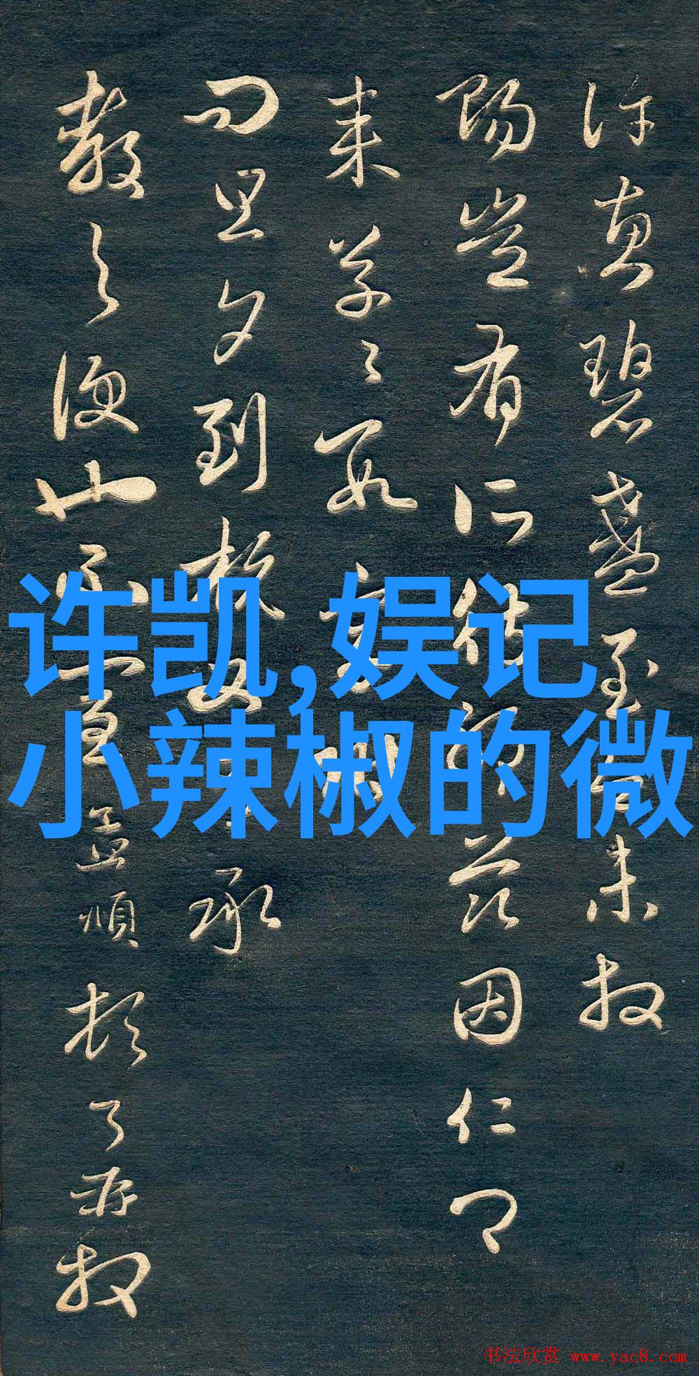 逆袭之旅从一个普通的学生到全球知名的科技大亨