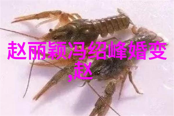 直播间的无垠边界探索最开放的空间