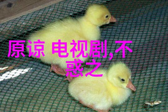 冬奥会上的舞者Hanni她是哪个国家的代表她的中文名字又叫什么呢在2022年的盛事中有多少国家的队伍
