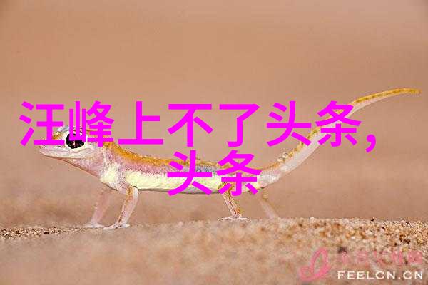 从易经到现代八卦五线文化传承探究