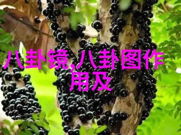 观众最感动的是哪一段情节以及为什么会这样呢