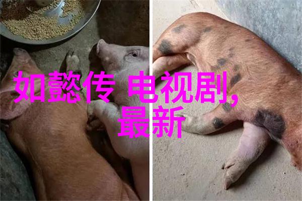 探索新场地的创意拍摄视频内容再升级
