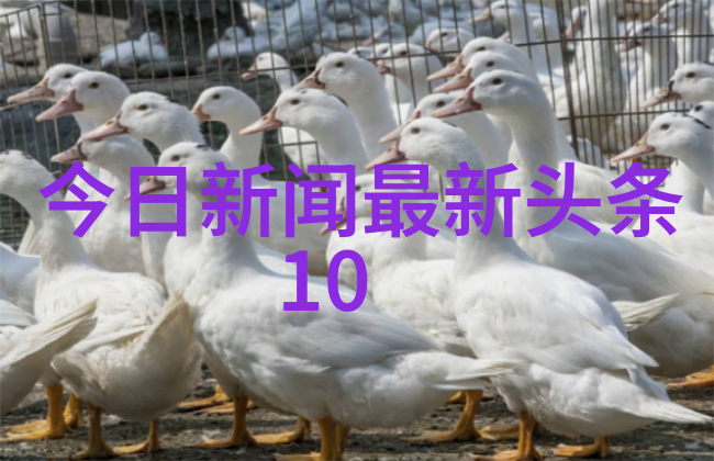 影视大全下载免费-追逐时光零成本获取全方位影视资源