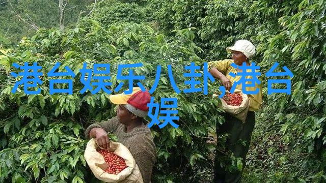 媚者无疆 电视剧 x 许嵩寻宝游戏演唱会音乐与传奇交织的万人盛宴
