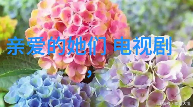 百度图片识物解锁无限可能的图像搜索世界