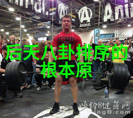 韩流新星崛起李知仁与朴瑟琪携手主演新剧引关注