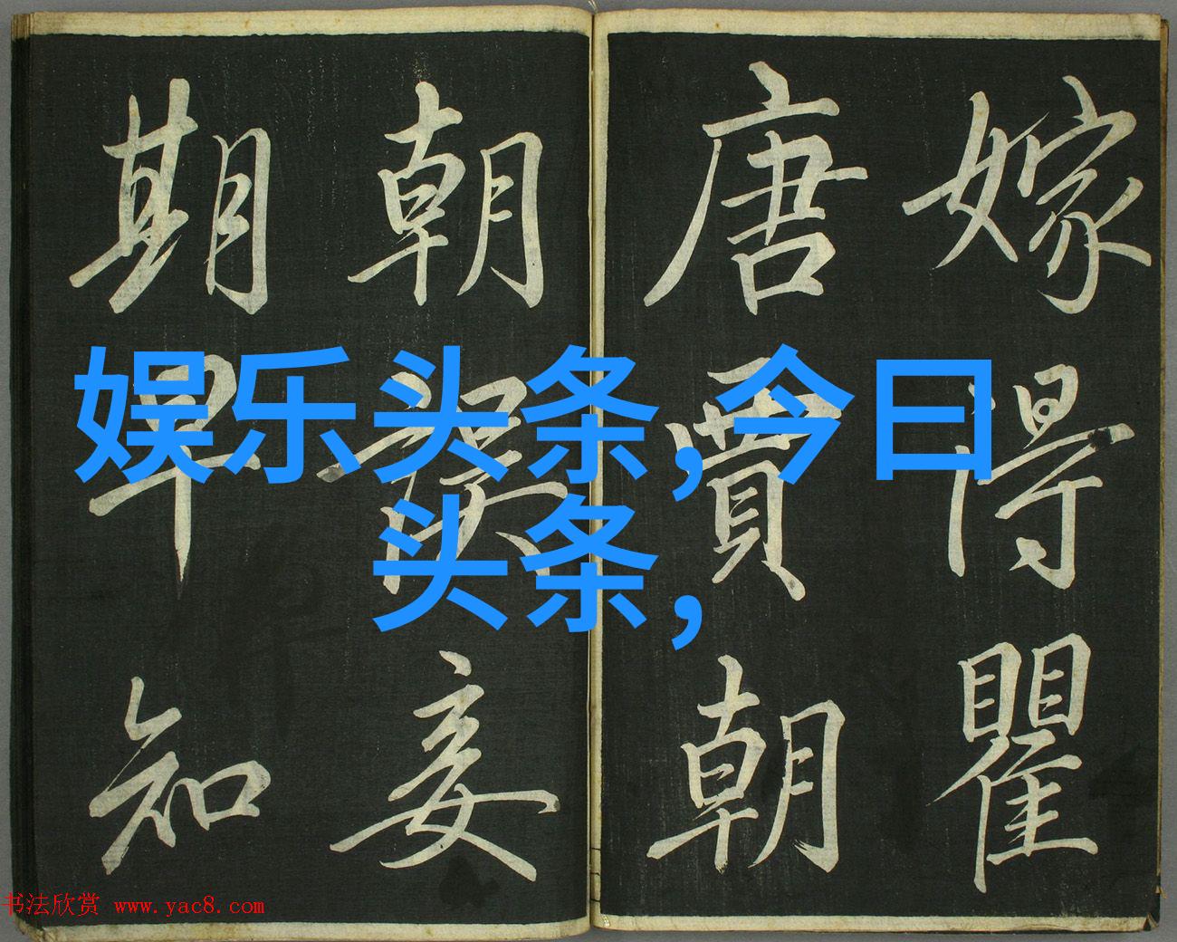 综艺大热门我是怎么成为明星的我的综艺求生之路