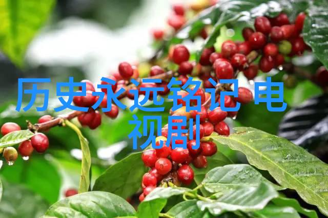 国外用户如何使用Bilibili直播app