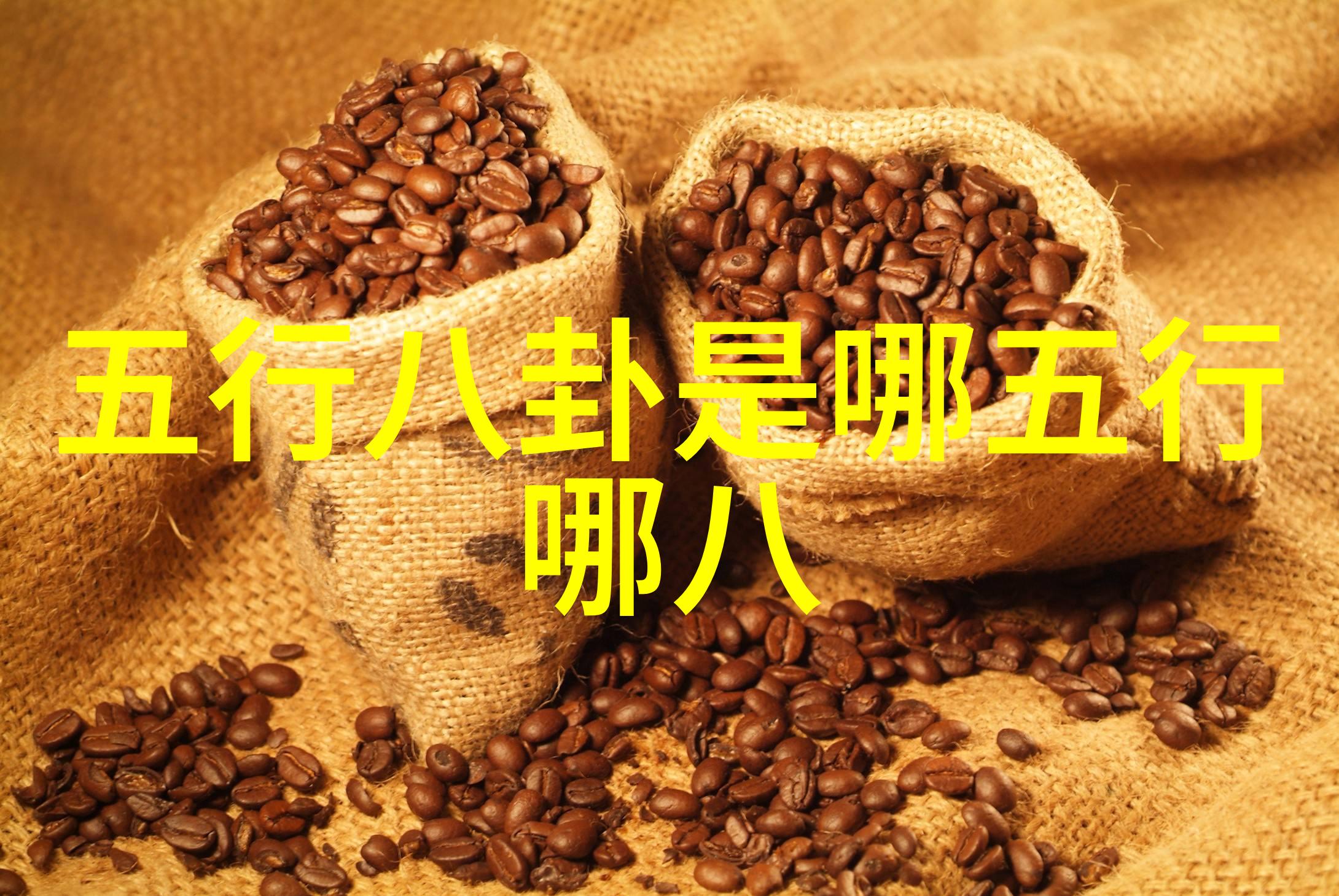 小苹果影视作品小苹果影视出品的经典电影和电视剧