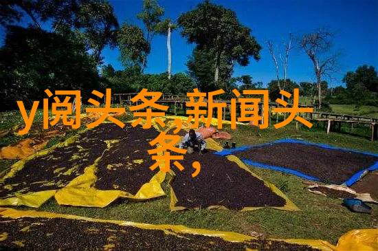 3月的逆袭从守旧的水瓶到年轻的双鱼星座变革之谜