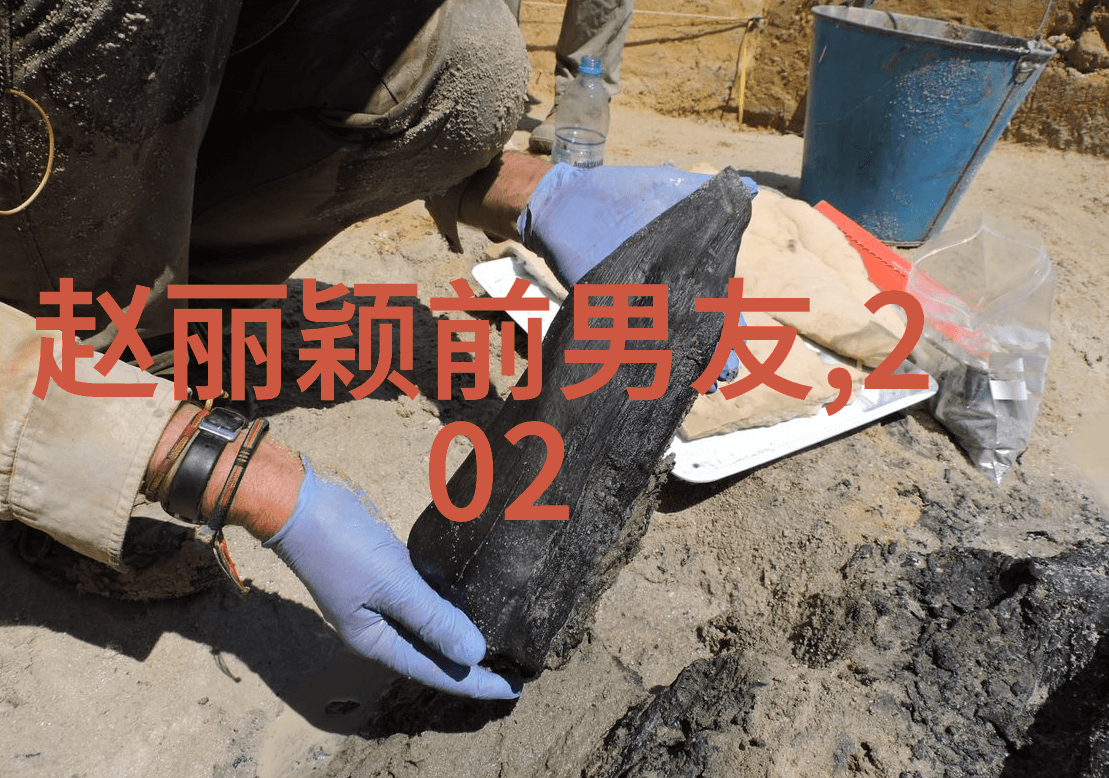 探索地球的五大陆领略地理多样性与文化深度