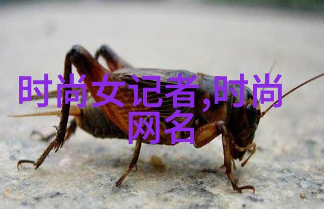 星座知识-3月份的占星之谜揭秘牡羊座与水瓶座的魅力