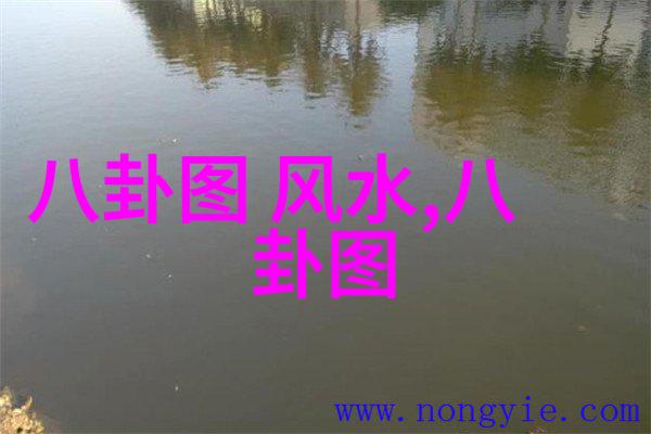 娱乐圈大佬有多变态天涯徐帆养女正面照曝光徐朵几岁了为何两人不亲授孕的原因曝光