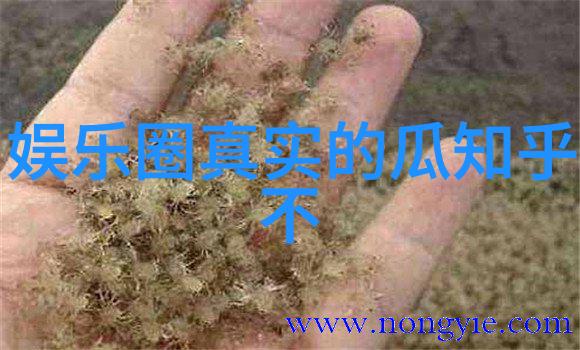 情感智能如何通过扫描图片来识别另一半的情绪状态