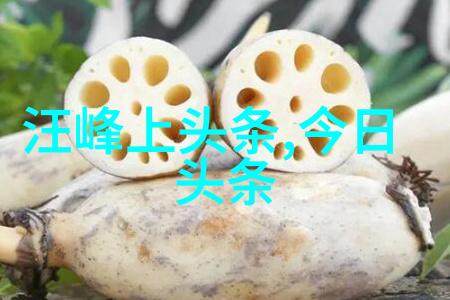 娱乐圈潜规则星光闪烁的暗黑森林