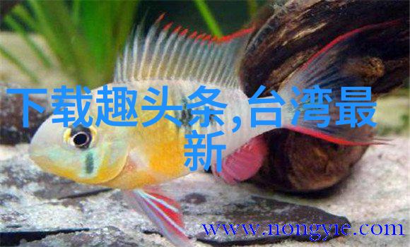 电视剧潜行狙击背后的历史真相考察