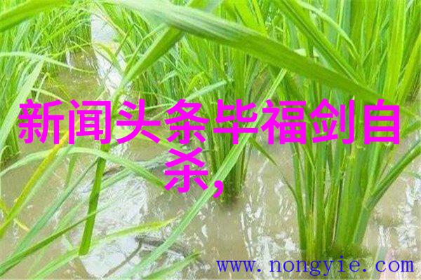 寒蝉鸣泣冬至之夜的温暖守护